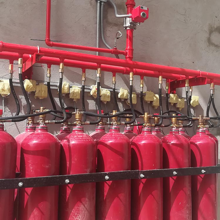 Gases Fire Suppression Systems
